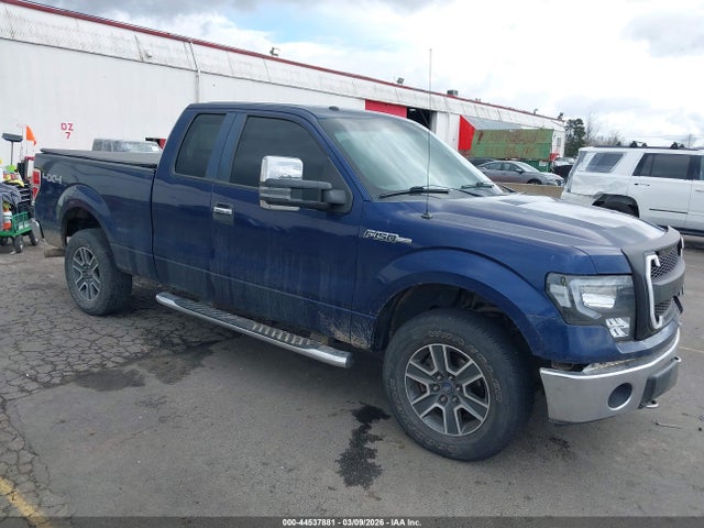 ford f-150 2009 — VIN Report