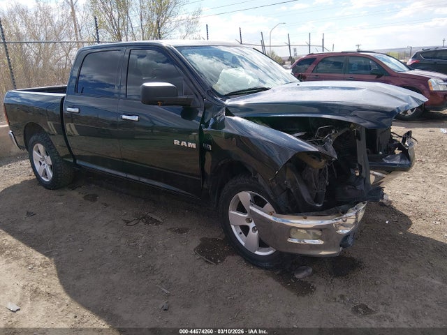 dodge ram 2009 — VIN 1D3HV13T39S711474